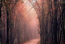 配资网首页:配资炒股平台-蔚来二季度营收增长9% 李斌：四季度锚定月销5万台目标